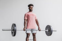 4T8N64225 tee Nobull