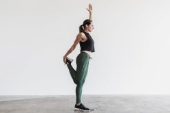 4T8N64680 jogger Nobull